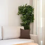 Appartamento Casarela